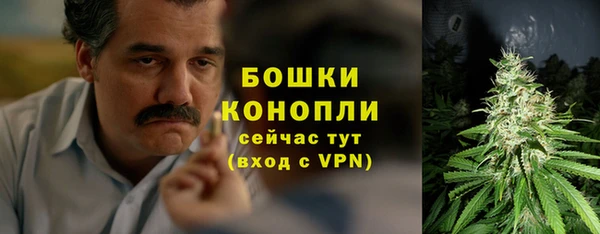 ГАЛЛЮЦИНОГЕННЫЕ ГРИБЫ Костерёво