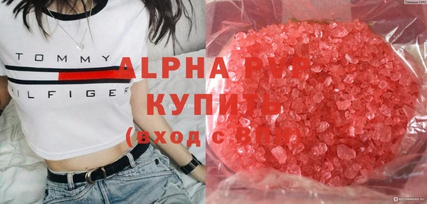ГАЛЛЮЦИНОГЕННЫЕ ГРИБЫ Костерёво