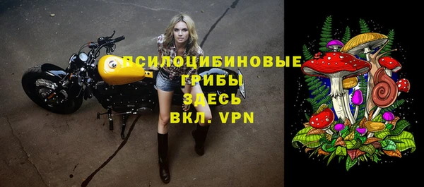 твердый Киреевск